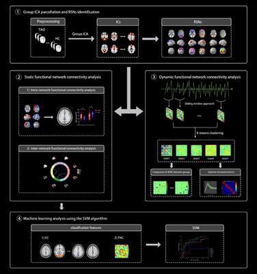 Specific static and dynamic functional network connectivity changes in thyroid-associated ophthalmopathy and it predictive values using machine learning